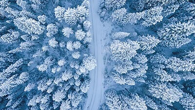 snowy field